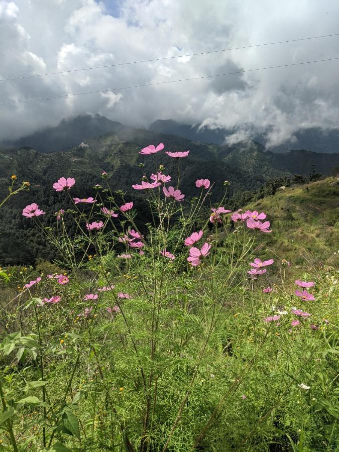 Namastay Himalayas, คานาตัล ภายนอก รูปภาพ